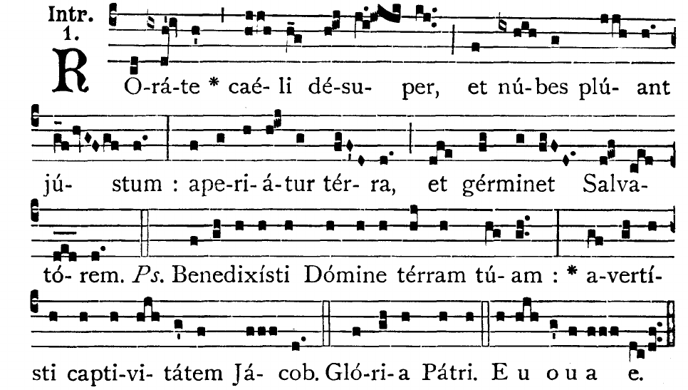 Rorate1