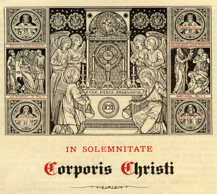 corporis